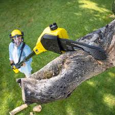 Mulching Services in Newkirk, OK